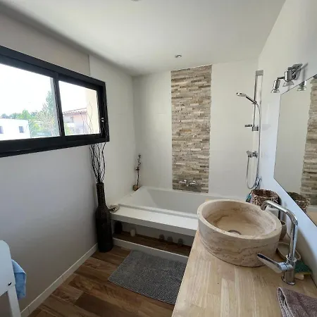 Villa Les Palmiers Flourens